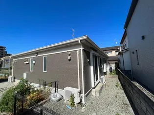 ピラ ハーツの画像