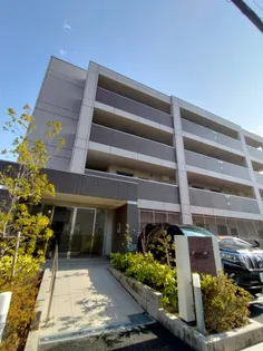 コスモスガーデンの画像