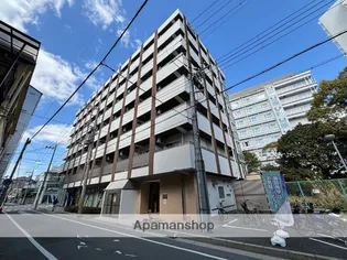 カルミア 甲子園の画像
