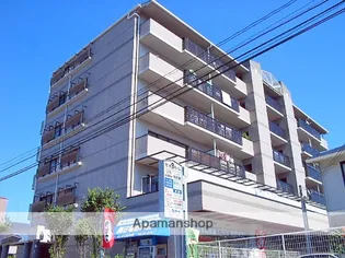 レキオ荒木の画像