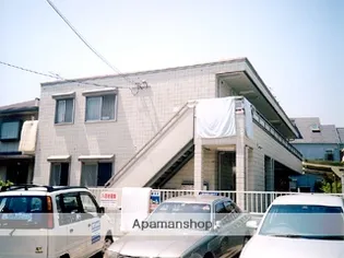 ルマとらまつの画像