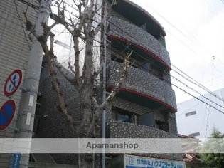 コニファーの画像