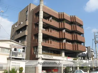 ソロモンテの画像