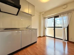 サウスサイド武庫之荘【304号室】の居間