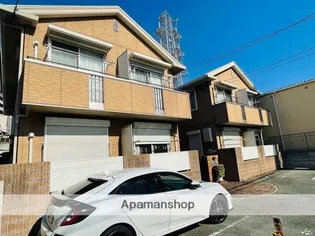 ツインコートの画像