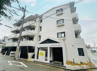 ダンディライオン立花の画像