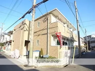 シス アムールの画像