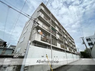 シャトルヨネの画像