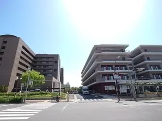 ロジュマンヴェール【4階】の周辺