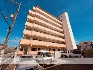 トゥエルブイナバソウの画像