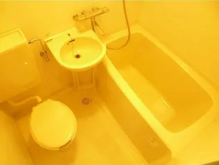 グランシャリオ塚口【209号室】の風呂