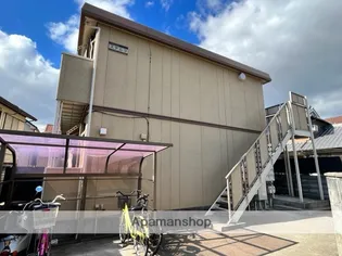 ステルラの画像