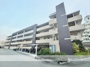 ザクシフの画像