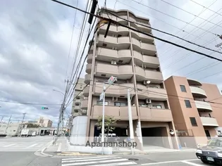 ビーバルユイの画像