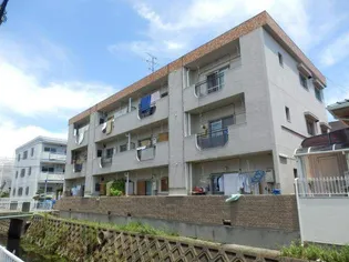 緑光パールハイツの画像