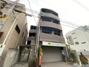 コニファーの画像