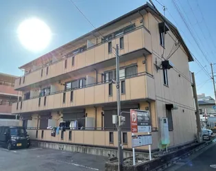 サザングレイスの画像