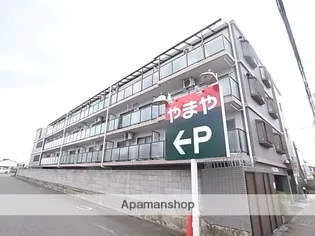 アルファの画像