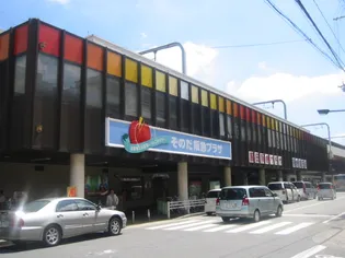 リヴィエーレクワトロ【101号室】の周辺