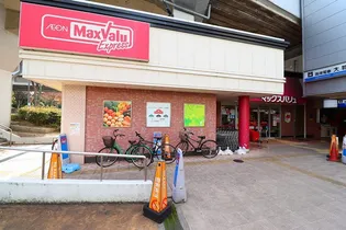 ロジュマンヴェール【5階】の周辺