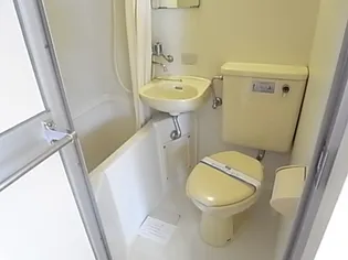 グランシャリオ塚口【306号室】の風呂