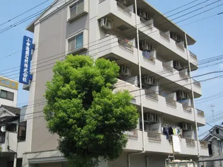 カーザ ベルデの画像