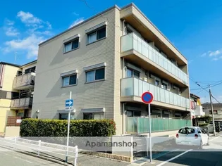 SHAMAISON MELODYの画像