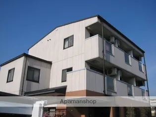 プリムローズの画像