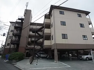 グランディア ミ アモーレ南塚口の画像