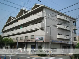 ハウゼミヤウラの画像