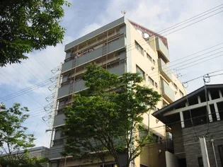 東豊ハイツ南七松の画像