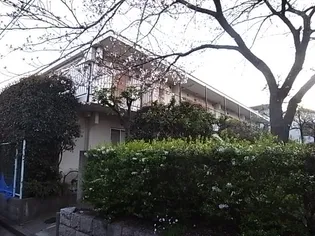 ハイツ雁替【203号室】の外観