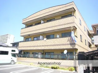 ヴィヴィッドの画像