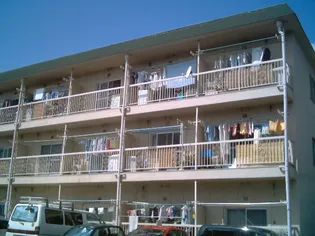 メゾン坂本の画像