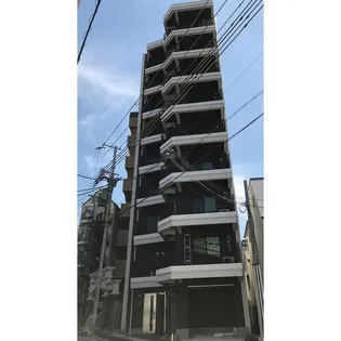 シャロン灘の画像