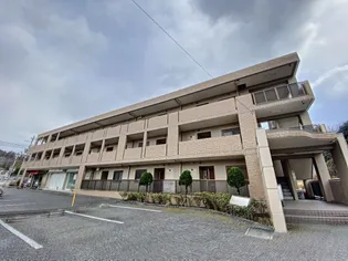 エレガントIの画像