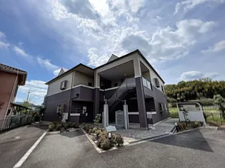 ウォームリブの画像