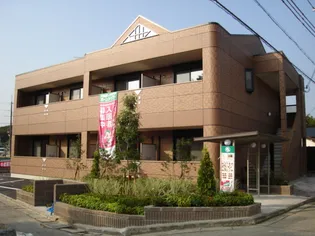 ファイン ステージの画像