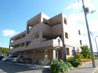 フィオーレの画像