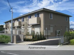 ステラセッテの画像