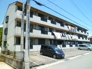 リオ谷上の画像