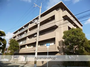 ドルフナガサワの画像