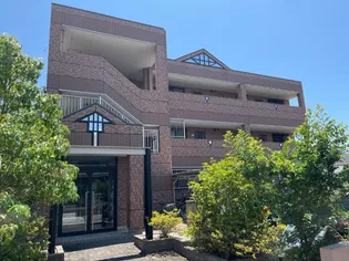 オヌールの画像