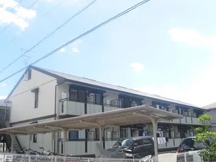 ベルセゾンミキの画像