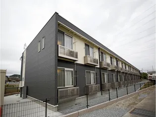 レオネクストスィートストロベリの画像