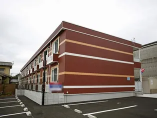 レオネクストサンベストの画像