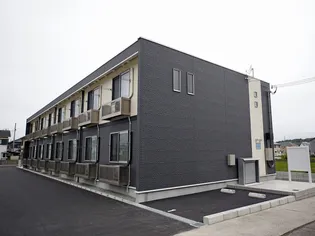 レオネクストグリーンパールの画像