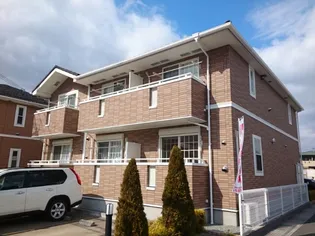 ベル ローズの画像