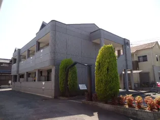 ルミエールの画像