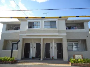 ビーンズフィールドの画像